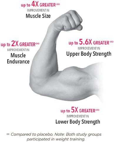 muscle-chart-1
